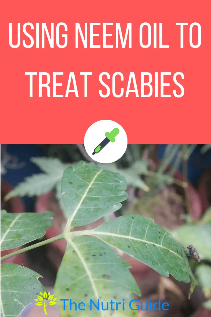 neem oil for scabies