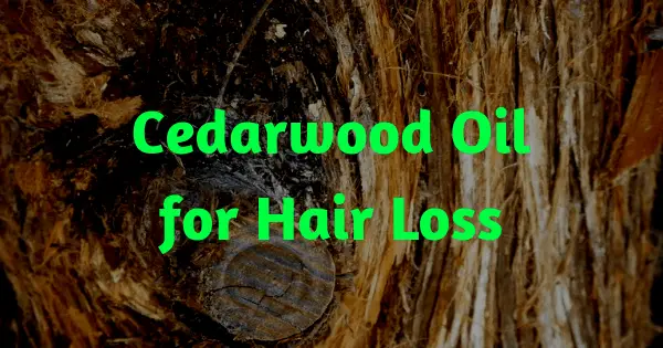 Cedarwood Oil for Hair Loss 1