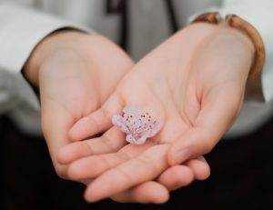 reiki distance healing