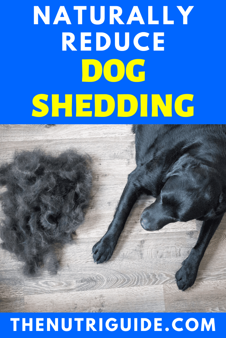 Illustration of Reduces Dog Shedding With Ease