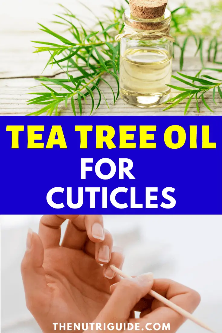 Tea Tree Oil for Cuticles