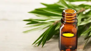 tea tree oil for cold and flu