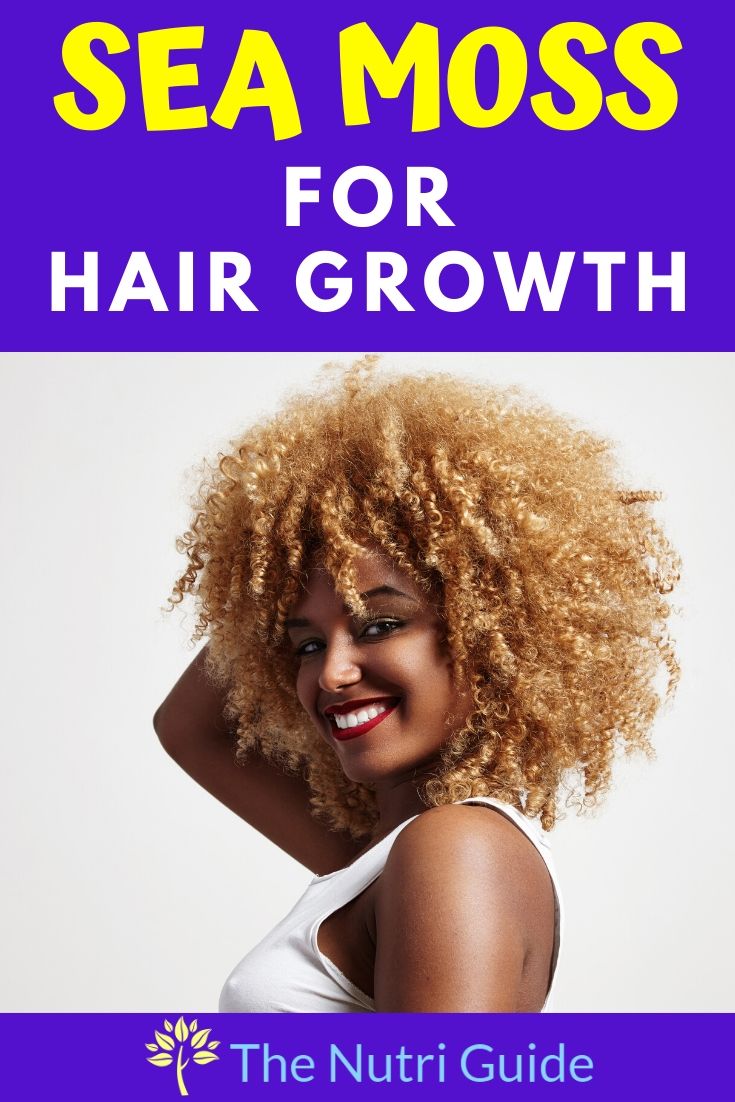 Irish Moss (Sea Moss) Hair Benefits Improve Growth & Scalp Moisture