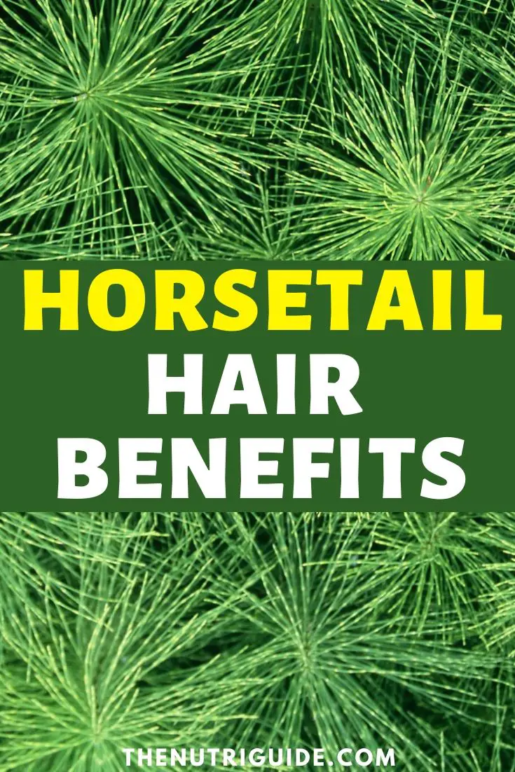 horsetail oil hair benefits