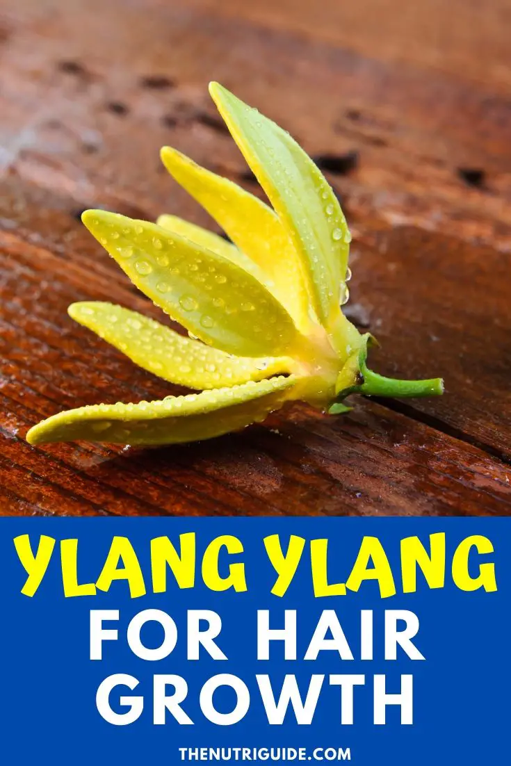 ylang ylang for hair growth