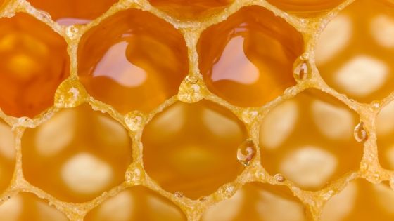 Beeswax for hair benefits