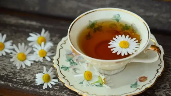 chamomile tea vs matcha tea