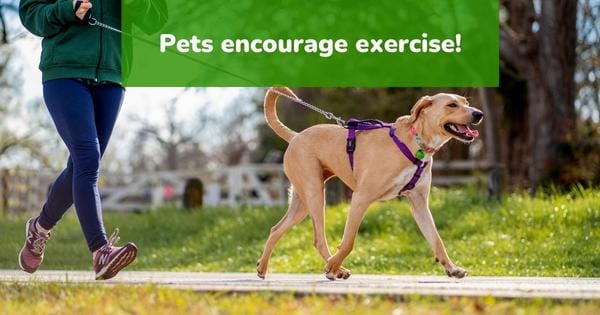 pets encourage exercise