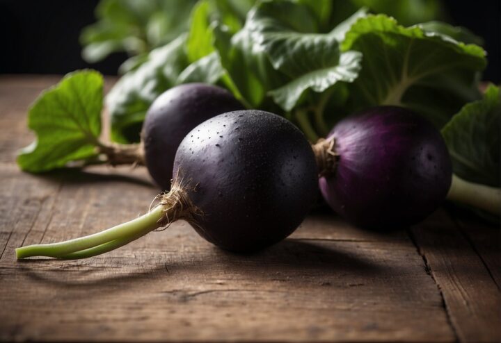 black radish 1 black radish 1